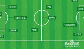 范佩西执教16个月后荷甲次名离任原因解析